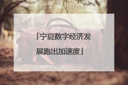 宁夏数字经济发展跑出加速度