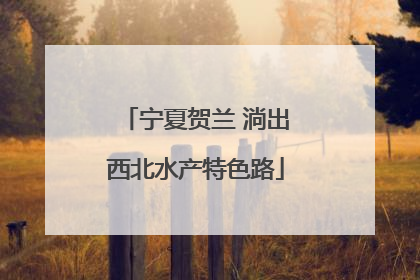 宁夏贺兰 淌出西北水产特色路
