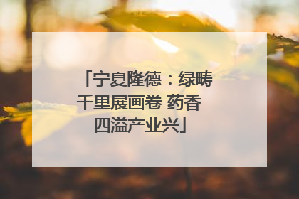 宁夏隆德：绿畴千里展画卷 药香四溢产业兴