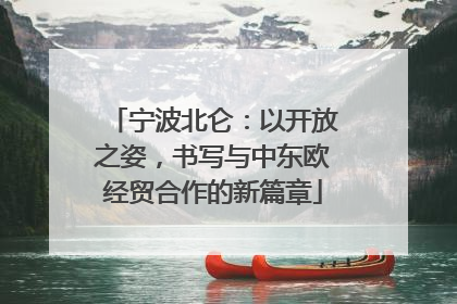 宁波北仑：以开放之姿，书写与中东欧经贸合作的新篇章