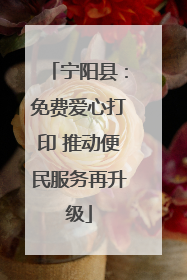 宁阳县：免费爱心打印 推动便民服务再升级