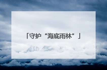 守护“海底雨林”
