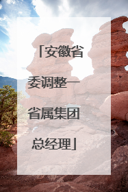 安徽省委调整一省属集团总经理