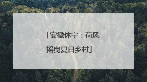安徽休宁：荷风摇曳夏日乡村