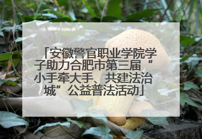 安徽警官职业学院学子助力合肥市第三届“小手牵大手、共建法治城”公益普法活动