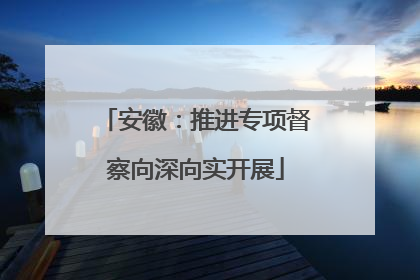 安徽：推进专项督察向深向实开展