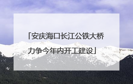 安庆海口长江公铁大桥力争今年内开工建设