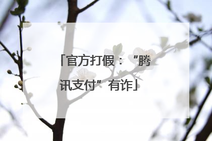 官方打假：“腾讯支付”有诈