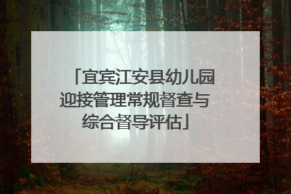宜宾江安县幼儿园迎接管理常规督查与综合督导评估