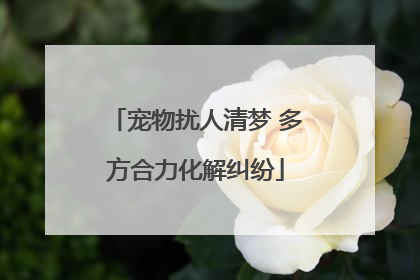 宠物扰人清梦 多方合力化解纠纷