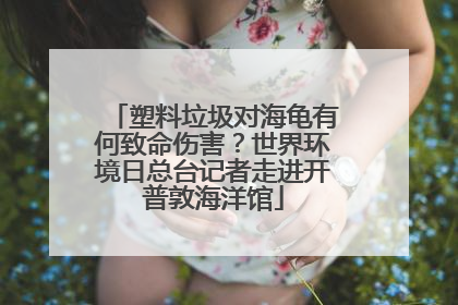 塑料垃圾对海龟有何致命伤害？世界环境日总台记者走进开普敦海洋馆