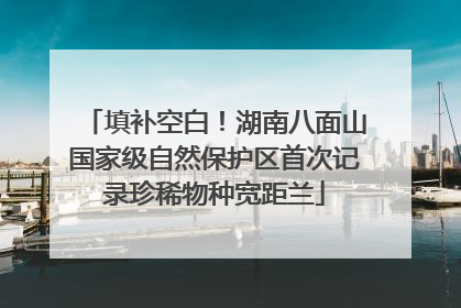 填补空白！湖南八面山国家级自然保护区首次记录珍稀物种宽距兰