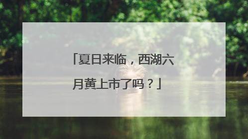 夏日来临，西湖六月黄上市了吗？