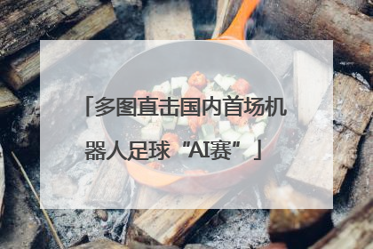 多图直击国内首场机器人足球“AI赛”