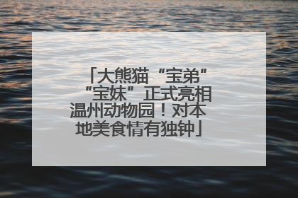 大熊猫“宝弟”“宝妹”正式亮相温州动物园！对本地美食情有独钟