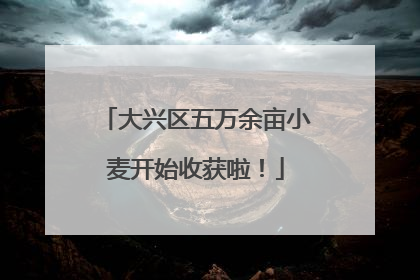 大兴区五万余亩小麦开始收获啦！