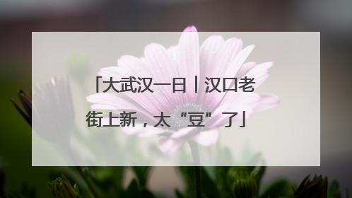 大武汉一日︱汉口老街上新，太“豆”了
