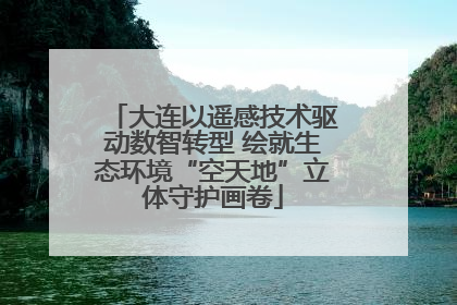 大连以遥感技术驱动数智转型 绘就生态环境“空天地”立体守护画卷