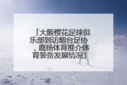 大阪樱花足球俱乐部到访烟台足协，鹿扬体育推介体育装备发展情况