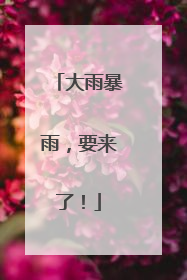 大雨暴雨，要来了！