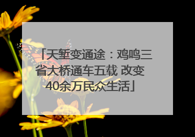 天堑变通途：鸡鸣三省大桥通车五载 改变40余万民众生活