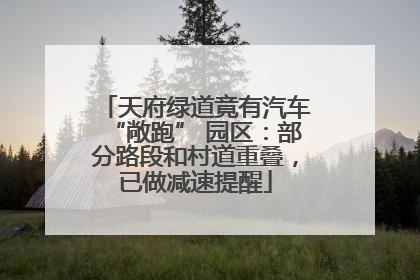 天府绿道竟有汽车“敞跑” 园区：部分路段和村道重叠，已做减速提醒