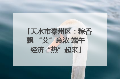 天水市秦州区：粽香飘 “艾”意浓 端午经济“热”起来