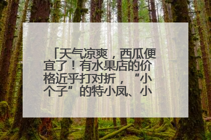 天气凉爽，西瓜便宜了！有水果店的价格近乎打对折，“小个子”的特小凤、小糖丸更好卖