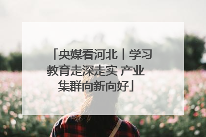 央媒看河北丨学习教育走深走实 产业集群向新向好