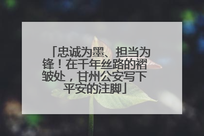 忠诚为墨、担当为锋！在千年丝路的褶皱处，甘州公安写下平安的注脚