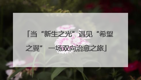 当“新生之光”遇见“希望之翼” 一场双向治愈之旅