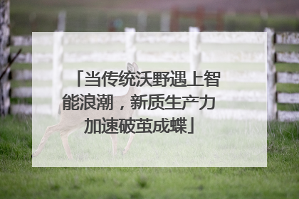 当传统沃野遇上智能浪潮，新质生产力加速破茧成蝶