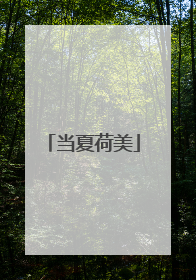 当夏荷美