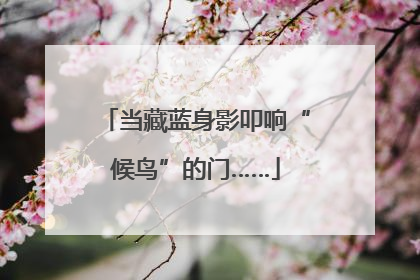 当藏蓝身影叩响“候鸟”的门……