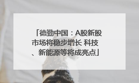 德勤中国：A股新股市场将稳步增长 科技、新能源等将成亮点