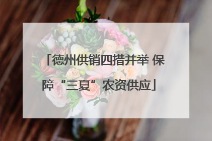 德州供销四措并举 保障“三夏”农资供应