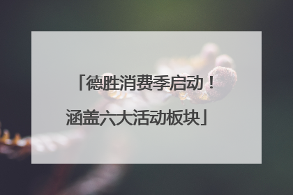德胜消费季启动！涵盖六大活动板块