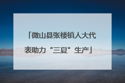 微山县张楼镇人大代表助力“三夏”生产