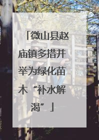 微山县赵庙镇多措并举为绿化苗木“补水解渴”