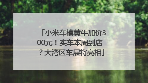 小米车模黄牛加价300元！实车本周到店？大湾区车展将亮相
