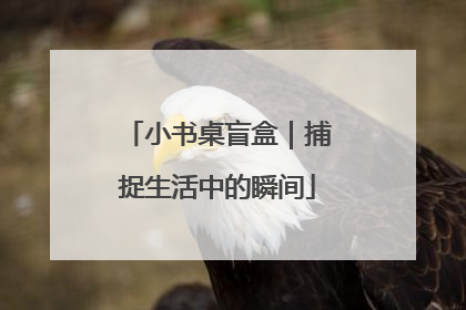 小书桌盲盒｜捕捉生活中的瞬间