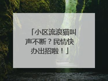 小区流浪猫叫声不断？民情快办出招啦！