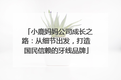 小鹿妈妈公司成长之路：从细节出发，打造国民信赖的牙线品牌