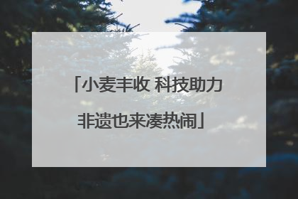 小麦丰收 科技助力 非遗也来凑热闹
