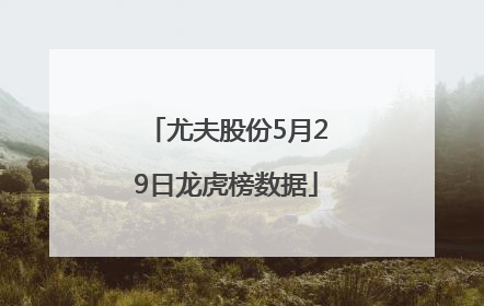 尤夫股份5月29日龙虎榜数据