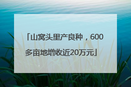 山窝头里产良种，600多亩地增收近20万元