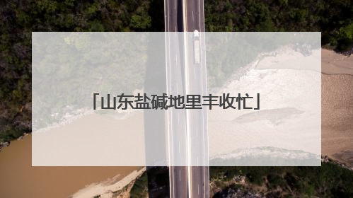 山东盐碱地里丰收忙