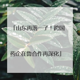 山东再落一子！跨国药企在鲁合作再深化