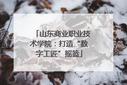 山东商业职业技术学院：打造“数字工匠”摇篮