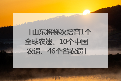 山东将梯次培育1个全球农遗、10个中国农遗、46个省农遗